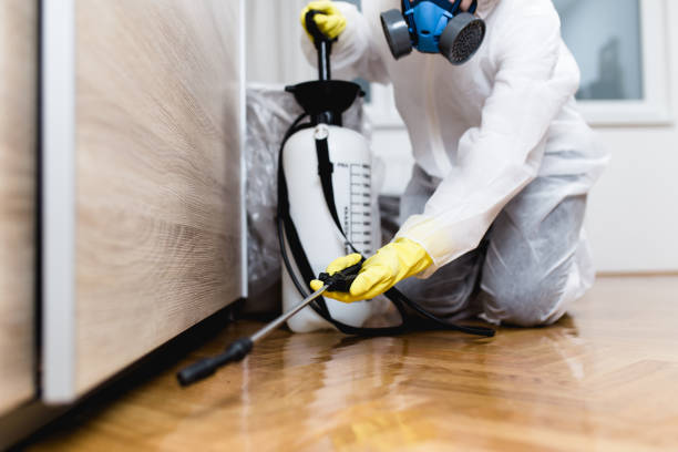 Best Best Pest Control Companies  in Johnsonburg, PA