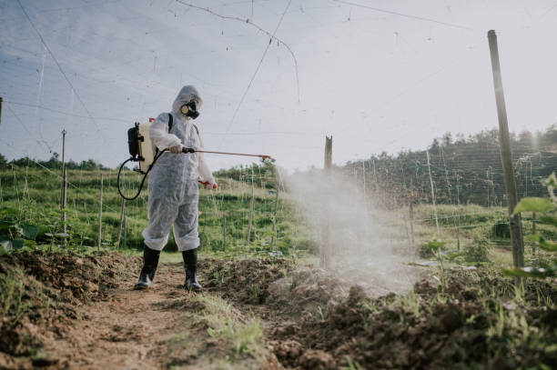 Best Affordable Pest Control Services  in Johnsonburg, PA