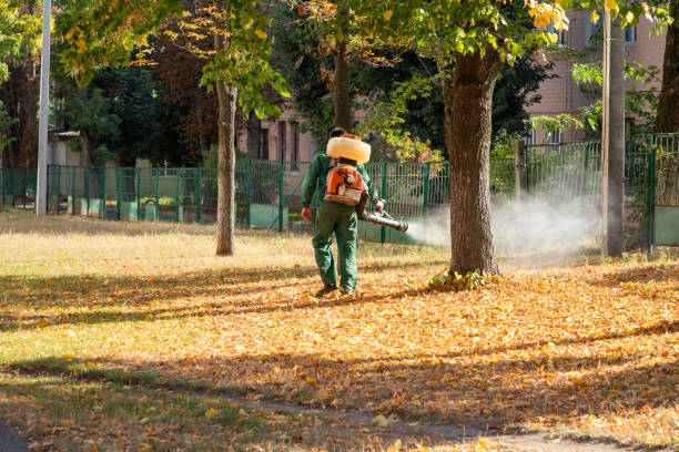 Best Wasp Removal Services  in Johnsonburg, PA