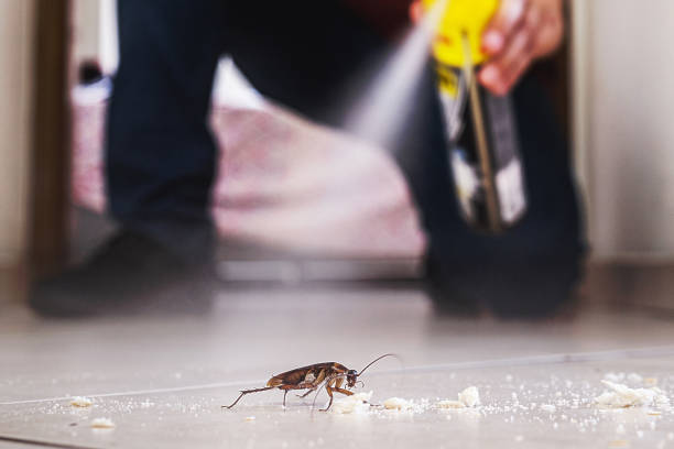 Professional Pest Control in Johnsonburg, PA